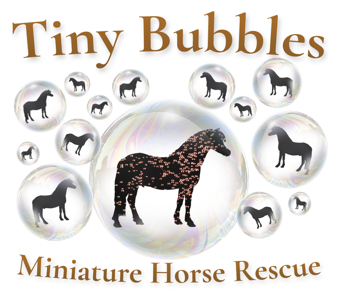 Tiny Bubbles Mini Horse Rescue